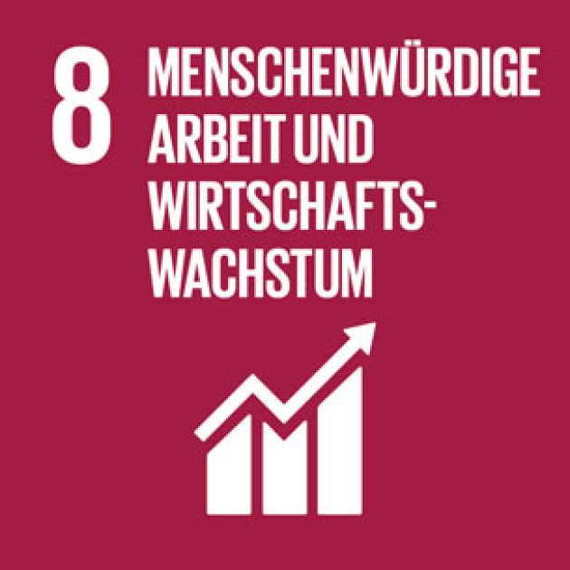 Sustainable Development Goal 8 – Menschenwürdige Arbeit und Wirtschaftswachstum